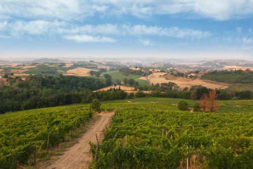 Azienda Agricola Crealto