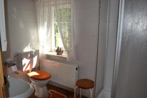 Ferienwohnung-auf-dem-Land - image 10