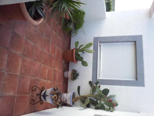 Hostal Rural Alba - image 3