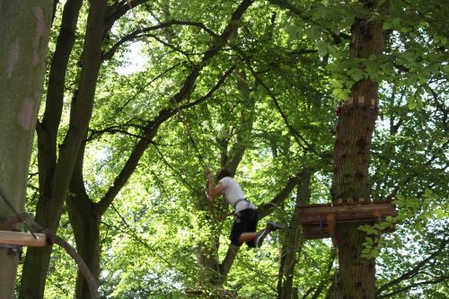 Woody Park - image 4