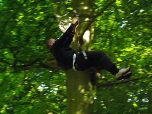 Woody Park - image 2