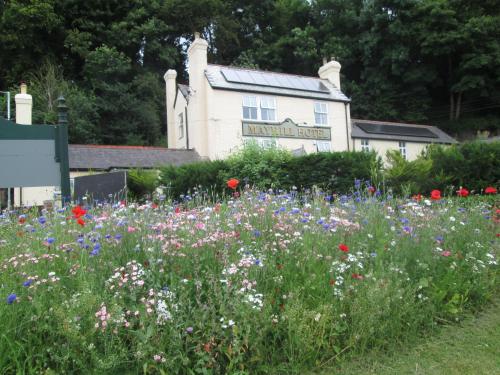 The Mayhill Hotel Hotel de charme Dingestow