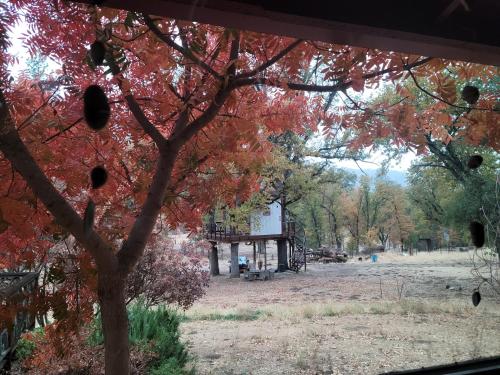 Quiet Artist Retreat - image 9
