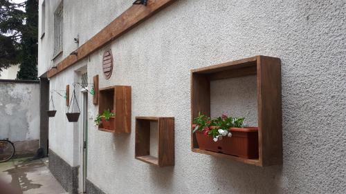 Apartment News Days - image 2