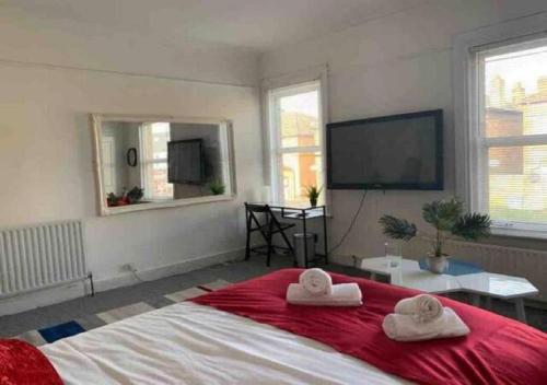 Balham, South London Spacious Guest House 5, 6 rooms available, Londýn (fotografie 3)