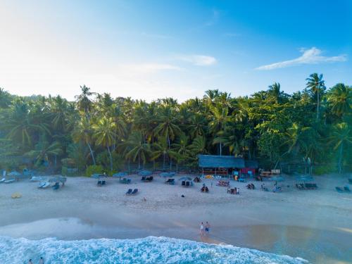  Palm Paradise Cabanas & Villas Beach Resort, Hotel, Tangalle,  Sri Lanka - price, booking, contact