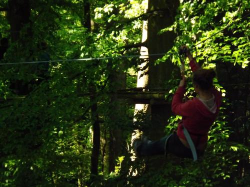 Woody Park - image 5