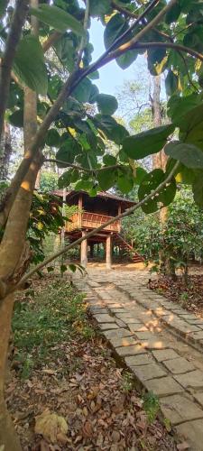 TREKKING TRAILS ECO STAY Wayanad