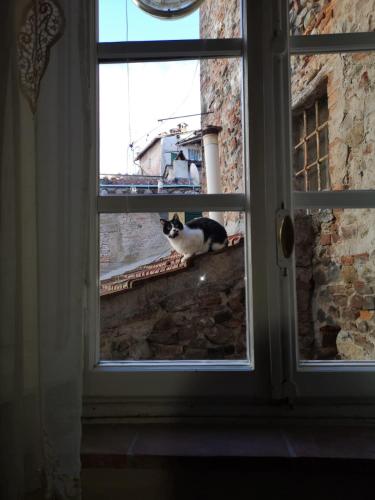 La Tosca Rooms - image 11