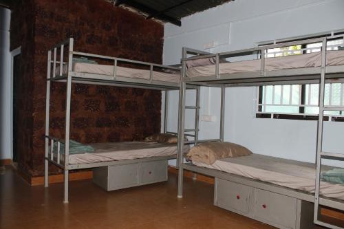 Tusker Tribe Hostel