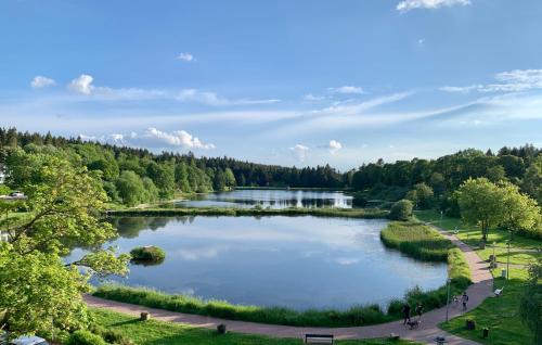Apartment Seeblick am Bocksberg - Hahnenklee "Vier Jahreszeiten"