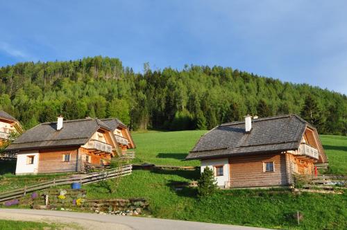 Almresort Baumschlagerberg