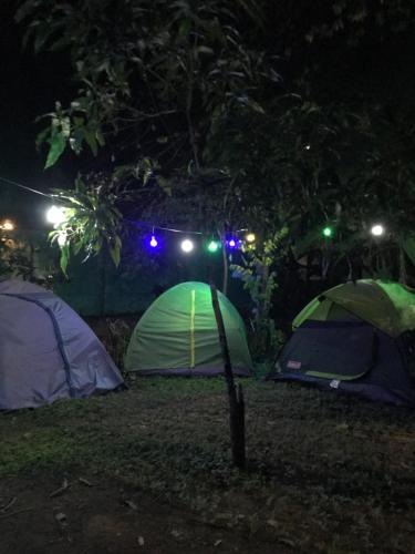 Tusker Tribe Hostel