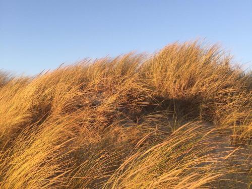 Facilities, Haus Seeblick in Norderney