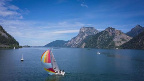 Landhotel Grünberg am See - image 5