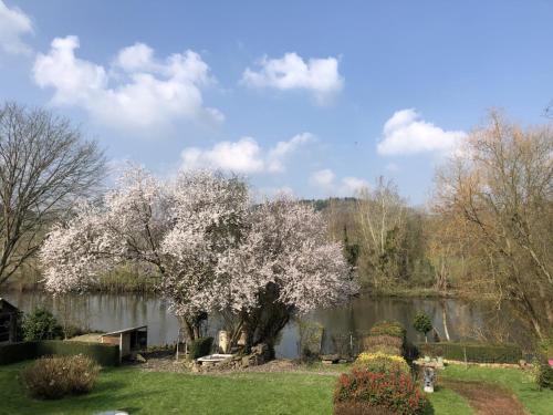 la noisette gîte à louer Combray