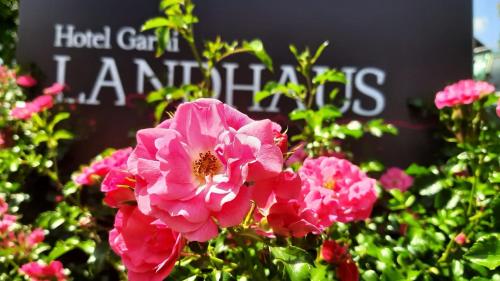 Hotel Garni Landhaus Florian - image 14