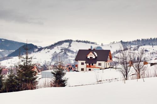 Villa Apia – Piwniczna-Zdrój, AL