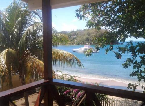 Sunset Shores Beach Hotel - image 4