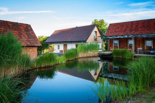 Ferienhaus mit privaten Schwimmteich und Sauna, Pension in Oed bei Gleisdorf bei Riegersburg