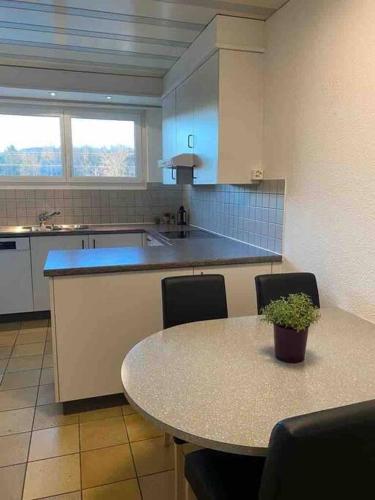 Geräumige Wohnung im Schweizer Vekehrspunkt (Geraumige Wohnung im Schweizer Vekehrspunkt) in Hunzenschwil