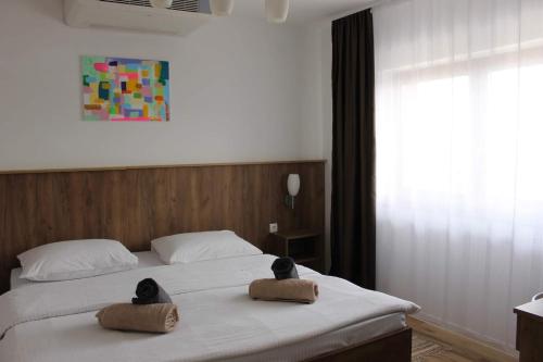 House Stefanac - image 5