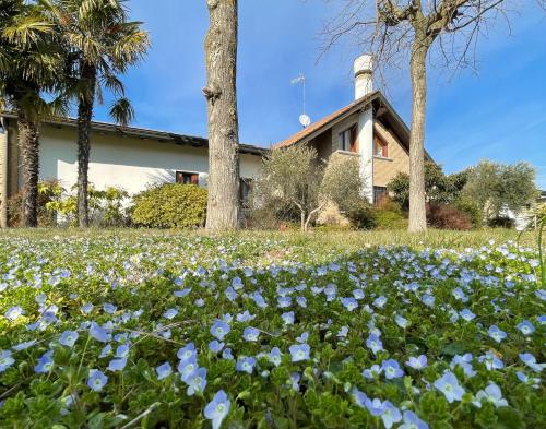  Villa Marinella Apartments - Locazione Turistica in Marinella