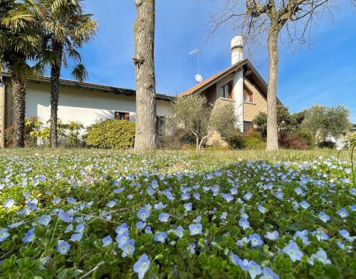 Villa Marinella Apartment - Locazione Turistica