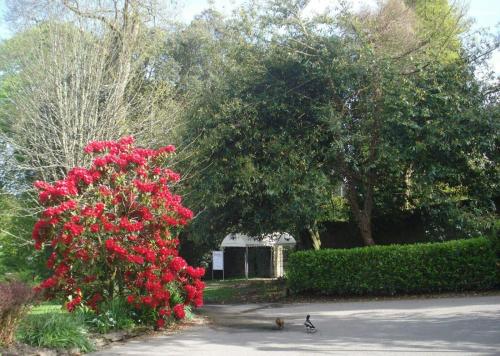 Detached Bungalow in North Cornwall