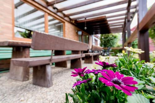 Gasthaus Dernedde – Osterode am Harz, TN