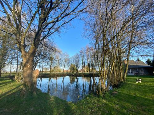 La Maison de l'Etang