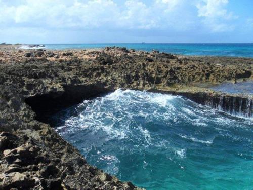 Aruba Cunucu Residence