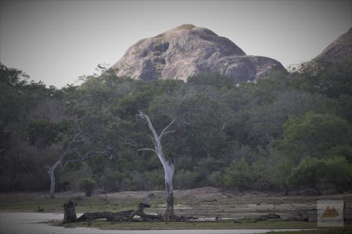 Basecamp - Yala