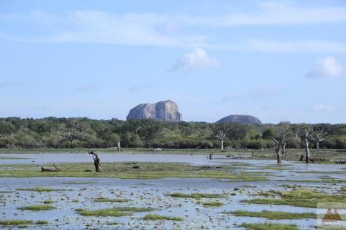 Basecamp - Yala