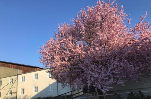 Landpension Gschwantner