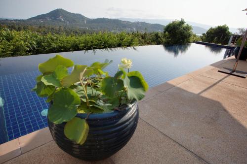 Villa Alpha - Seaview Private Villa, Choeng Mon Beach (photo 8)