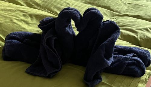  Apartments Michael & Petra Lustenau, Austria in Lustenau