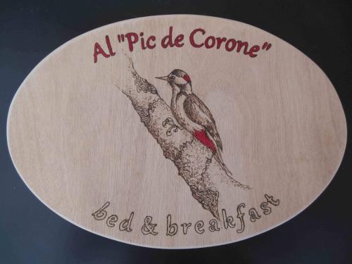 Al Pic de Corone - main image