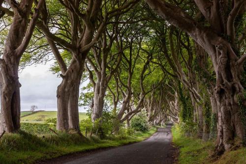 Causeway Coast Sea Front apartment - Ballycastle