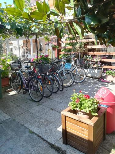 Le Magnolie B&B 3