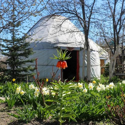 Karakol Yurts Camp