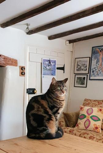 Tracebridge Cottage B&B - image 11