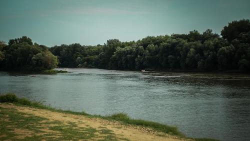 Sárgarigó Élményház