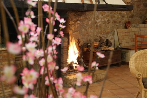 Complejo Rural Turimaestrat 3