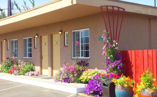 Uptown Inn - Accommodation - Port Angeles