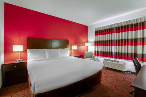 1 king bed