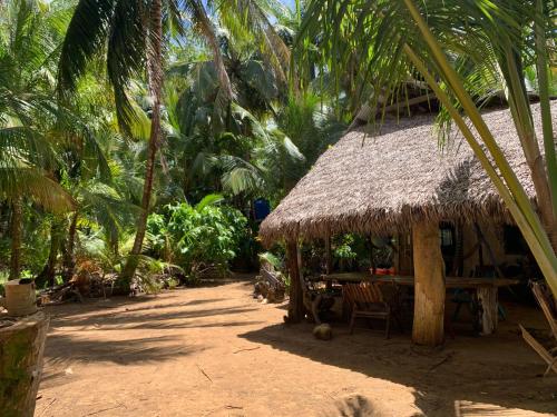 酒店外观, ENSUEÑOS NATURAL RESERVE Little Corn Island Nicaragua (ENSUENOS NATURAL RESERVE Little Corn Island Nicaragua) in 小马伊斯群岛