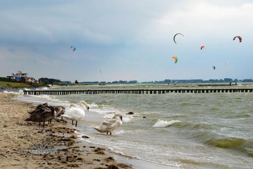 Uit Alle Windstreken - image 2