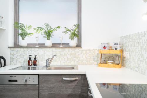 House with private parking & sauna near city centre and transport, Roeselare (foto 7)