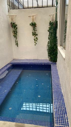Chez Magnolia - alberca privada y compartida in Xochitepec, Mexico